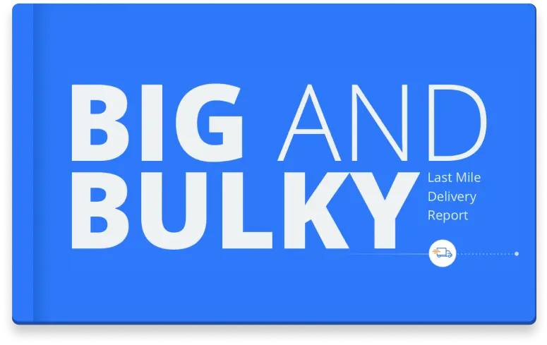 Big and Bulky report cover image