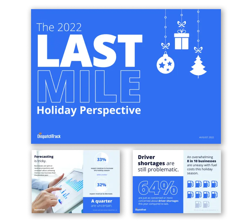 Last Mile Holiday Perspective report preview